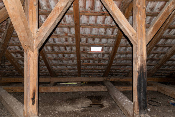 Explore Our Expert Services and Check This Out to Protect Your Home