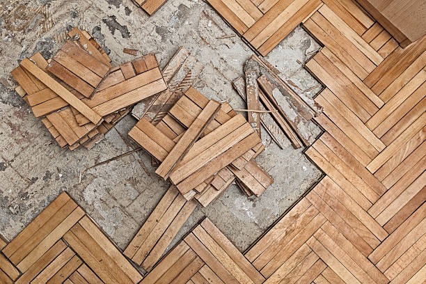 When Disaster Strikes How Water Damage Restoration Pros Can Save Your Home
