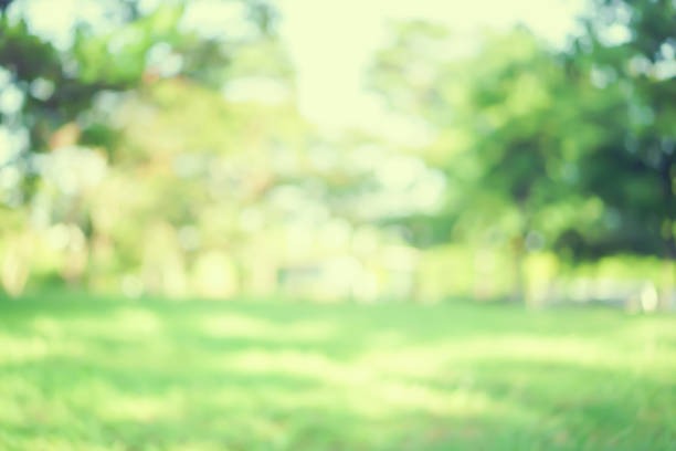 ForeverLawn Northern Ohio Reviews Trusted Artificial Grass Experts on ProvenExpert