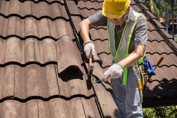 Professional Roof Maintenance Tips to Protect Your Home